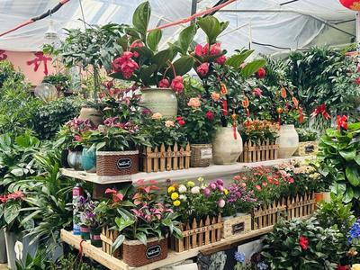 春風有信花為禮！婦女節濟南鮮花銷售火爆，禮品花卉成熱門選擇