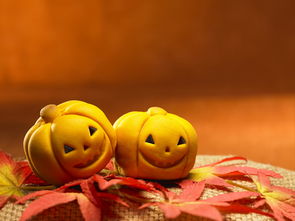 元祖雪餅超值優惠方案 GoMaJi夠麻吉聯手禮品花卉，打造驚喜送禮體驗