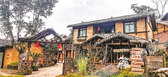 身邊事｜渝北興隆鎮 賞林下花園 體驗“森”系研學 品花卉經濟