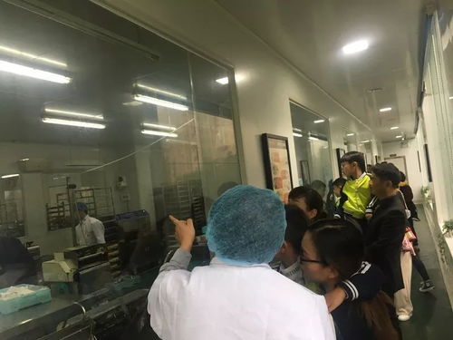 相約蛋糕工廠 品味甜蜜時光——記龍灣區第九幼兒園中二班參觀蛋糕生產工廠社會實踐活動